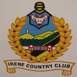 Ierne B logo